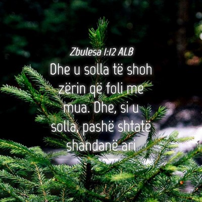 Picture 04 - Zbulesa 1:12 ALB - Dhe u solla të shoh zërin që foli me mua. Dhe, - Bible Verse Picture