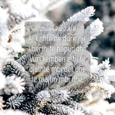 Picture 04 - Zbulesa 10:2 ALB - Ai kishte në dorë një libërth të hapur dhe - Bible Verse Picture