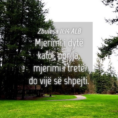 Picture 04 - Zbulesa 11:14 ALB - Mjerimi i dytë kaloi, por ja, mjerimi i tretë - Bible Verse Picture