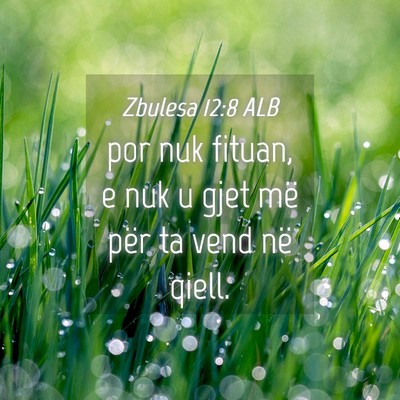 Picture 04 - Zbulesa 12:8 ALB - por nuk fituan, e nuk u gjet më për ta vend në - Bible Verse Picture