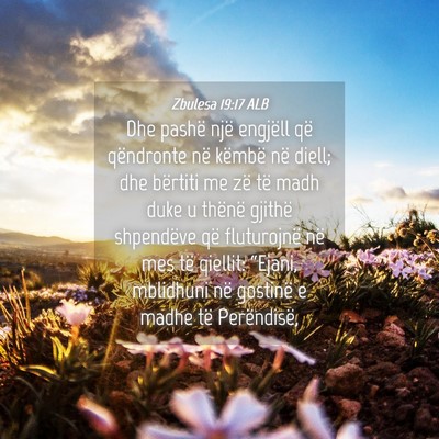 Picture 04 - Zbulesa 19:17 ALB - Dhe pashë një engjëll që qëndronte në - Bible Verse Picture