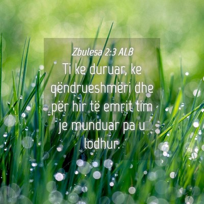 Picture 04 - Zbulesa 2:3 ALB - Ti ke duruar, ke qëndrueshmëri dhe për hir të - Bible Verse Picture