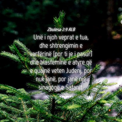 Picture 04 - Zbulesa 2:9 ALB - Unë i njoh veprat e tua, dhe shtrengimin e - Bible Verse Picture