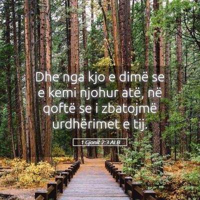 Picture 05 - 1 Gjonit 2:3 ALB - Dhe nga kjo e dimë se e kemi njohur atë, në - Bible Verse Picture