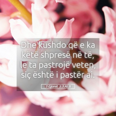 Picture 05 - 1 Gjonit 3:3 ALB - Dhe kushdo që e ka këtë shpresë në të, le - Bible Verse Picture