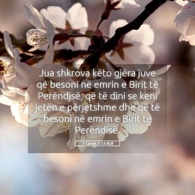 Picture 05 - 1 Gjonit 5:13 ALB - Jua shkrova këto gjëra juve që besoni në - Bible Verse Picture