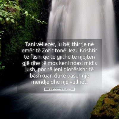 Picture 05 - 1 Korintasve 1:10 ALB - Tani vëllezër, ju bëj thirrje në emër të - Bible Verse Picture