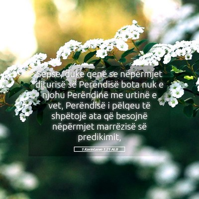 Picture 05 - 1 Korintasve 1:21 ALB - Sepse, duke qenë se nëpërmjet diturisë së - Bible Verse Picture