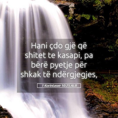 Picture 05 - 1 Korintasve 10:25 ALB - Hani çdo gjë që shitet te kasapi, pa bërë - Bible Verse Picture