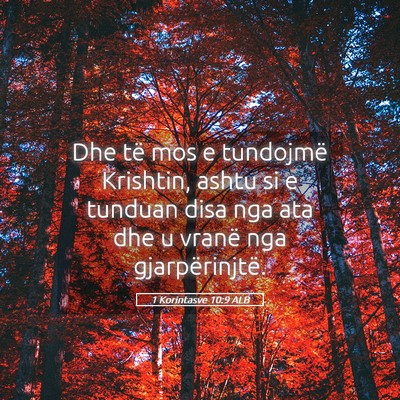 Picture 05 - 1 Korintasve 10:9 ALB - Dhe të mos e tundojmë Krishtin, ashtu si e - Bible Verse Picture