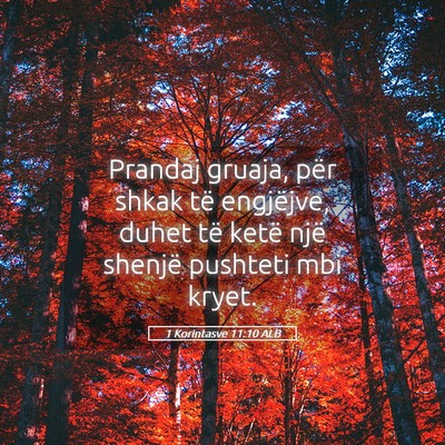 Picture 05 - 1 Korintasve 11:10 ALB - Prandaj gruaja, për shkak të engjëjve, duhet - Bible Verse Picture