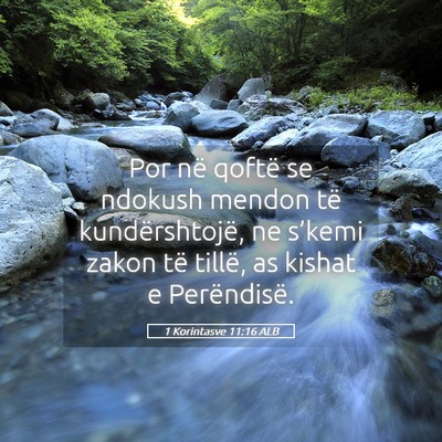 Picture 05 - 1 Korintasve 11:16 ALB - Por në qoftë se ndokush mendon të - Bible Verse Picture