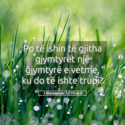 Picture 05 - 1 Korintasve 12:19 ALB - Po të ishin të gjitha gjymtyrët një gjymtyrë - Bible Verse Picture