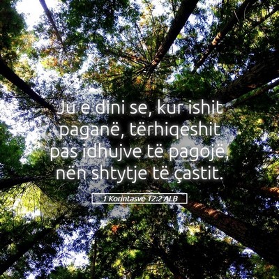 Picture 05 - 1 Korintasve 12:2 ALB - Ju e dini se, kur ishit paganë, tërhiqeshit pas - Bible Verse Picture