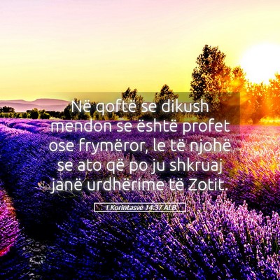 Picture 05 - 1 Korintasve 14:37 ALB - Në qoftë se dikush mendon se është profet ose - Bible Verse Picture