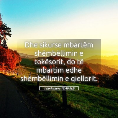 Picture 05 - 1 Korintasve 15:49 ALB - Dhe sikurse mbartëm shëmbëllimin e tokësorit, - Bible Verse Picture