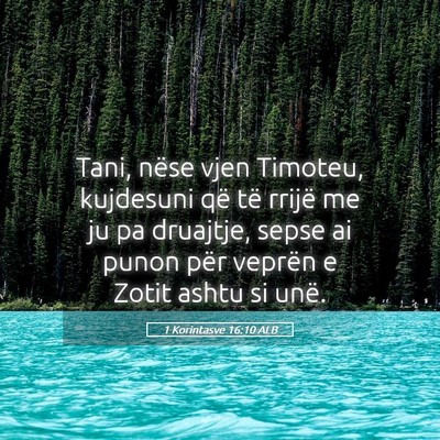 Picture 05 - 1 Korintasve 16:10 ALB - Tani, nëse vjen Timoteu, kujdesuni që të - Bible Verse Picture