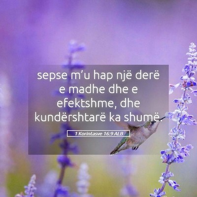 Picture 05 - 1 Korintasve 16:9 ALB - sepse m’u hap një derë e madhe dhe e - Bible Verse Picture