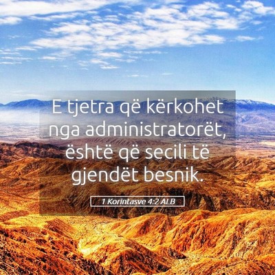 Picture 05 - 1 Korintasve 4:2 ALB - E tjetra që kërkohet nga administratorët, - Bible Verse Picture