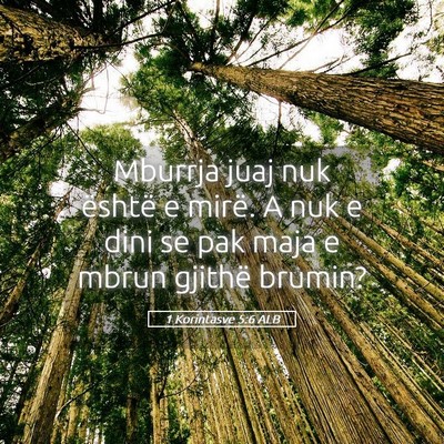 Picture 05 - 1 Korintasve 5:6 ALB - Mburrja juaj nuk është e mirë. A nuk e dini se - Bible Verse Picture