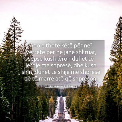 Picture 05 - 1 Korintasve 9:10 ALB - Apo e thotë këtë për ne? Vërtetë për ne - Bible Verse Picture