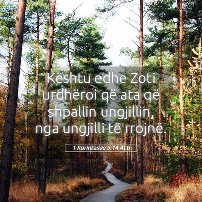 Picture 05 - 1 Korintasve 9:14 ALB - Kështu edhe Zoti urdhëroi që ata që shpallin - Bible Verse Picture