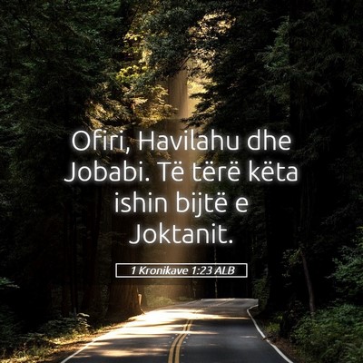 Picture 05 - 1 Kronikave 1:23 ALB - Ofiri, Havilahu dhe Jobabi. Të tërë këta - Bible Verse Picture