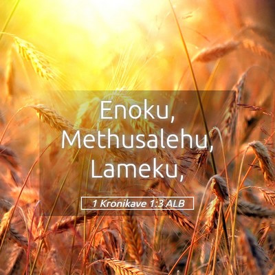Picture 05 - 1 Kronikave 1:3 ALB - Enoku, Methusalehu, - Bible Verse Picture