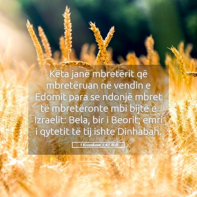 Picture 05 - 1 Kronikave 1:43 ALB - Këta janë mbretërit që mbretëruan në vendin - Bible Verse Picture