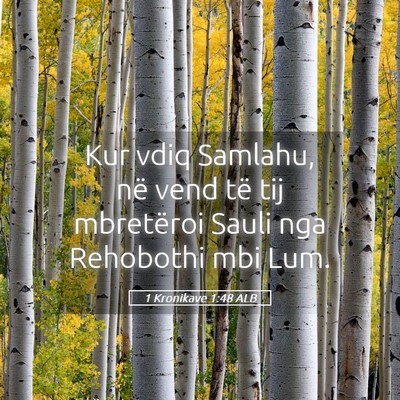 Picture 05 - 1 Kronikave 1:48 ALB - Kur vdiq Samlahu, në vend të tij mbretëroi - Bible Verse Picture