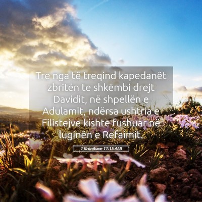 Picture 05 - 1 Kronikave 11:15 ALB - Tre nga të treqind kapedanët zbritën te - Bible Verse Picture
