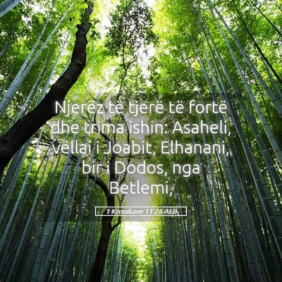 Picture 05 - 1 Kronikave 11:26 ALB - Njerëz të tjerë të fortë dhe trima ishin: - Bible Verse Picture