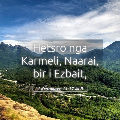 Picture 05 - 1 Kronikave 11:37 ALB - Hetsro nga Karmeli, Naarai, bir i - Bible Verse Picture