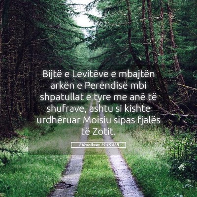 Picture 05 - 1 Kronikave 15:15 ALB - Bijtë e Levitëve e mbajtën arkën e - Bible Verse Picture