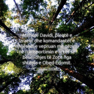 Picture 05 - 1 Kronikave 15:25 ALB - Atëherë Davidi, pleqtë e Izraelit dhe - Bible Verse Picture