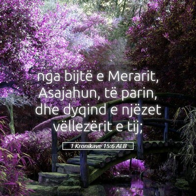 Picture 05 - 1 Kronikave 15:6 ALB - nga bijtë e Merarit, Asajahun, të parin, dhe - Bible Verse Picture