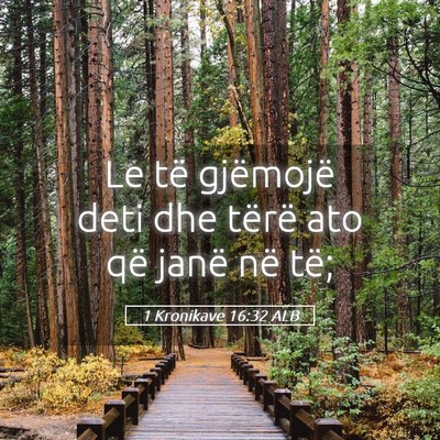 Picture 05 - 1 Kronikave 16:32 ALB - Le të gjëmojë deti dhe tërë ato që janë - Bible Verse Picture