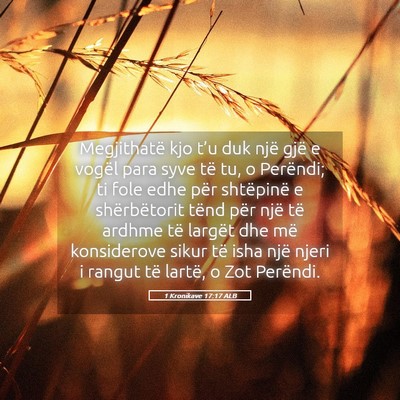 Picture 05 - 1 Kronikave 17:17 ALB - Megjithatë kjo t’u duk një gjë e vogël para - Bible Verse Picture