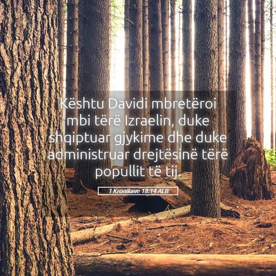 Picture 05 - 1 Kronikave 18:14 ALB - Kështu Davidi mbretëroi mbi tërë Izraelin, - Bible Verse Picture
