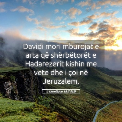 Picture 05 - 1 Kronikave 18:7 ALB - Davidi mori mburojat e arta që shërbëtorët e - Bible Verse Picture