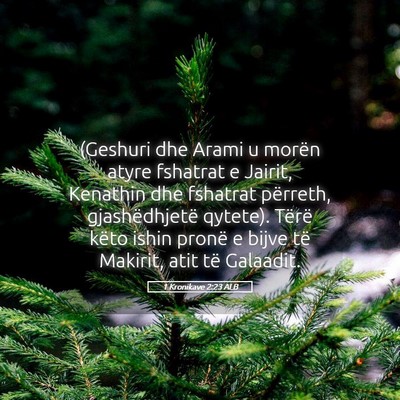Picture 05 - 1 Kronikave 2:23 ALB - (Geshuri dhe Arami u morën atyre fshatrat e - Bible Verse Picture