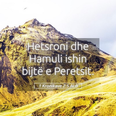 Picture 05 - 1 Kronikave 2:5 ALB - Hetsroni dhe Hamuli ishin bijtë e - Bible Verse Picture
