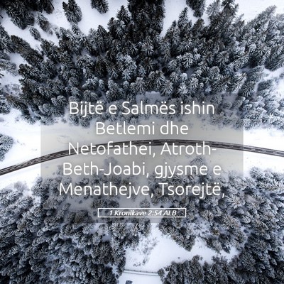 Picture 05 - 1 Kronikave 2:54 ALB - Bijtë e Salmës ishin Betlemi dhe Netofathei, - Bible Verse Picture