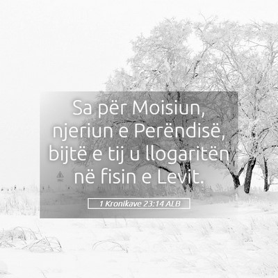 Picture 05 - 1 Kronikave 23:14 ALB - Sa për Moisiun, njeriun e Perëndisë, bijtë e - Bible Verse Picture
