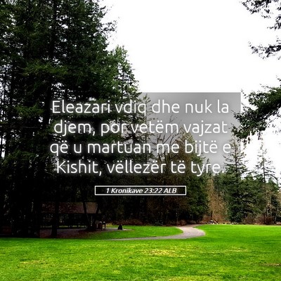 Picture 05 - 1 Kronikave 23:22 ALB - Eleazari vdiq dhe nuk la djem, por vetëm vajzat - Bible Verse Picture