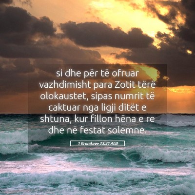 Picture 05 - 1 Kronikave 23:31 ALB - si dhe për të ofruar vazhdimisht para Zotit - Bible Verse Picture