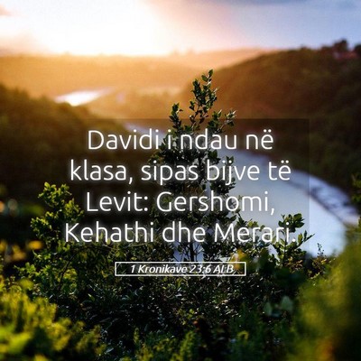 Picture 05 - 1 Kronikave 23:6 ALB - Davidi i ndau në klasa, sipas bijve të Levit: - Bible Verse Picture