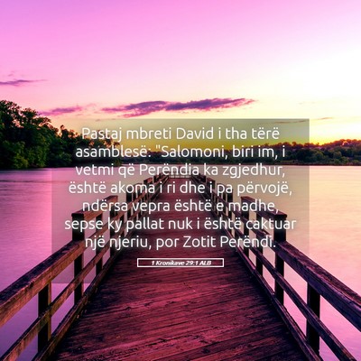 Picture 05 - 1 Kronikave 29:1 ALB - Pastaj mbreti David i tha tërë asamblesë: - Bible Verse Picture