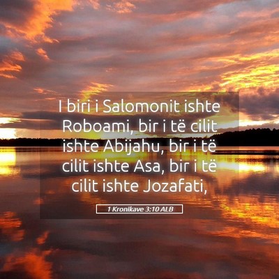 Picture 05 - 1 Kronikave 3:10 ALB - I biri i Salomonit ishte Roboami, bir i të cilit - Bible Verse Picture