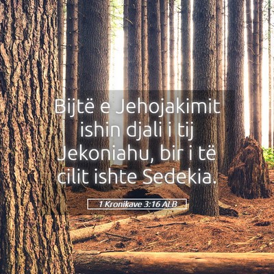 Picture 05 - 1 Kronikave 3:16 ALB - Bijtë e Jehojakimit ishin djali i tij Jekoniahu, - Bible Verse Picture